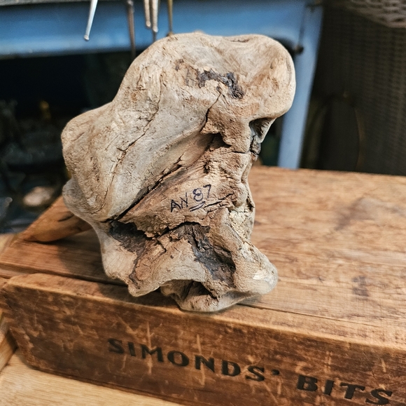 Driftwood Art - Picture 3 of 3